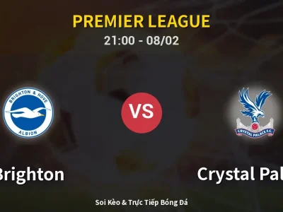 🔴 Trực Tiếp: Brighton 0-0 Crystal Palace – Link Xem Premier League (Full HD)