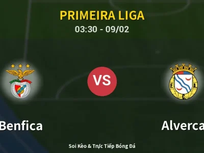 Kết Quả: Benfica 2-1 Alverca – Highlight & Bàn Thắng | Primeira Liga