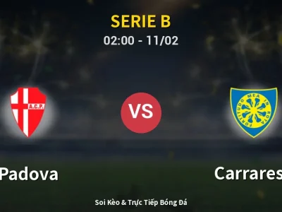 Kết Quả: Padova 1-0 Carrarese – Highlight & Bàn Thắng | Serie B