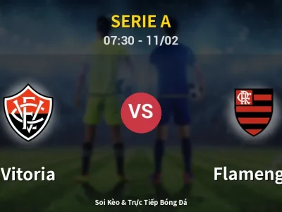 Kết Quả: Vitoria 1-2 Flamengo – Highlight & Bàn Thắng | Serie A