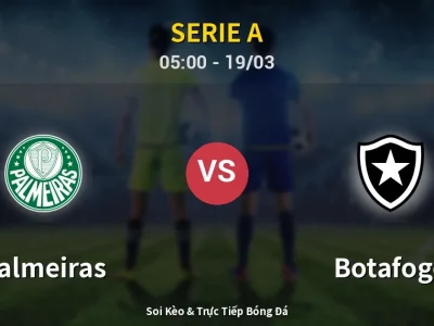 Kết Quả: Palmeiras 2-1 Botafogo – Highlight & Bàn Thắng | Serie A