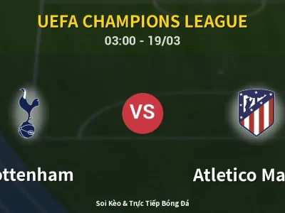 Kết Quả: Tottenham 3-2 Atletico Madrid – Highlight & Bàn Thắng | UEFA Champions League