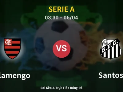 Kết Quả: Flamengo 3-1 Santos – Highlight & Bàn Thắng | Serie A