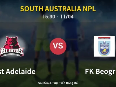 Soi Kèo West Adelaide vs FK Beograd – 15:30 11/04 | Nhận Định, Dự Đoán Tỷ Số