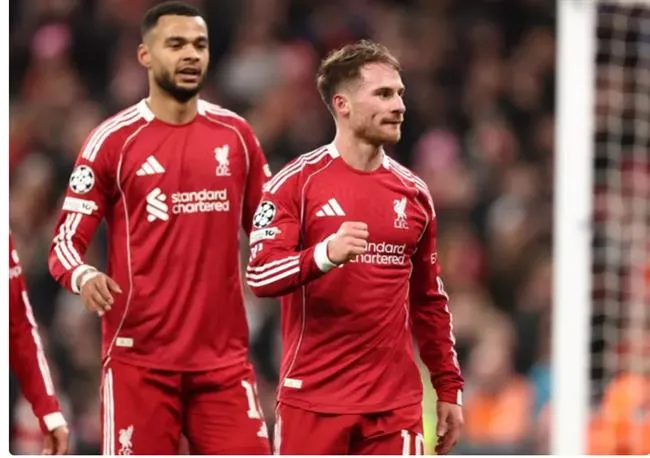 Nhận định Liverpool vs Newcastle (3h00 ngày 12) Chích chòe sợ sân khách 1